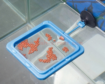 Floating Feeder (Equal Feeder for small fish)