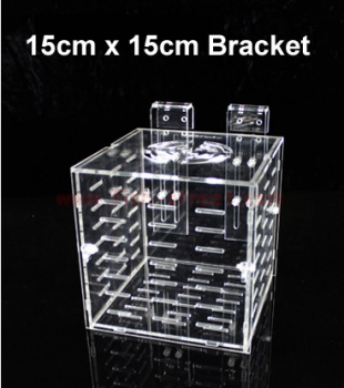 Fish Room Isolation Feeding Query Hatchery Tank